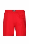 BASIC MENS SHORTS