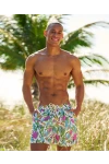 PATTERNED MENS SHORTS